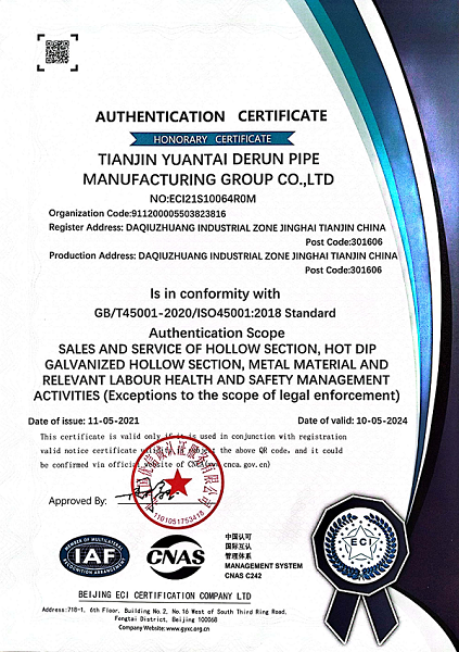 ISO450013