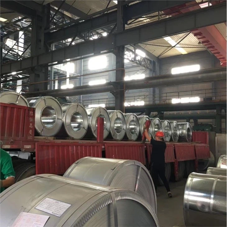 galvanized steel coil suppliers1